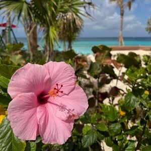 Meet your Posher, Marianne